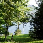 Grassy hill leading to water